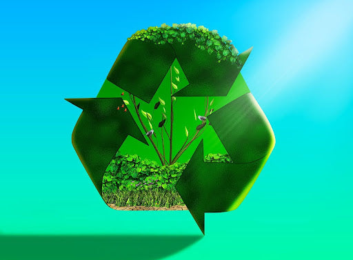 Cleaning as Ecosystem Engineering