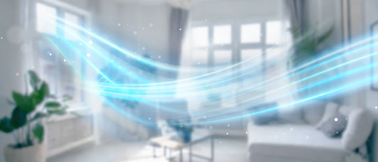 What It’s Like to Clean with Synbio Products